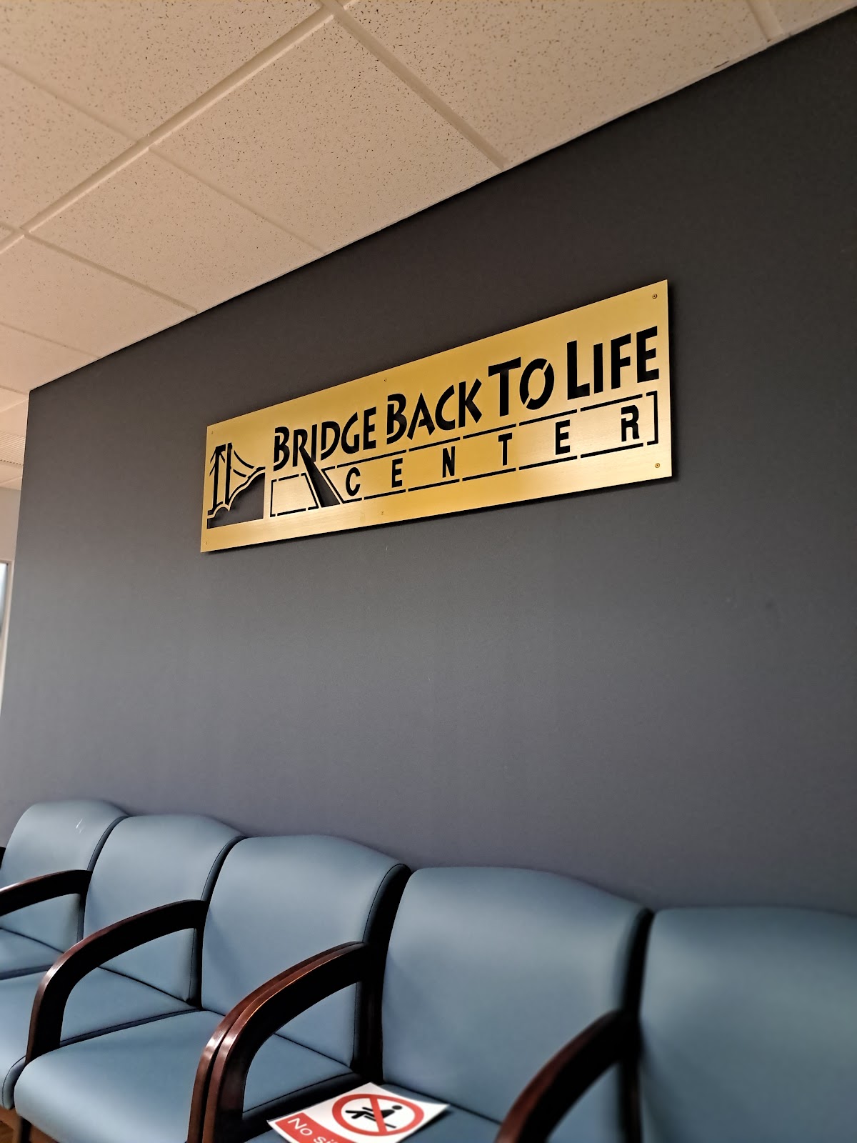 Bridge Back to Life Center 175 Remsen Street